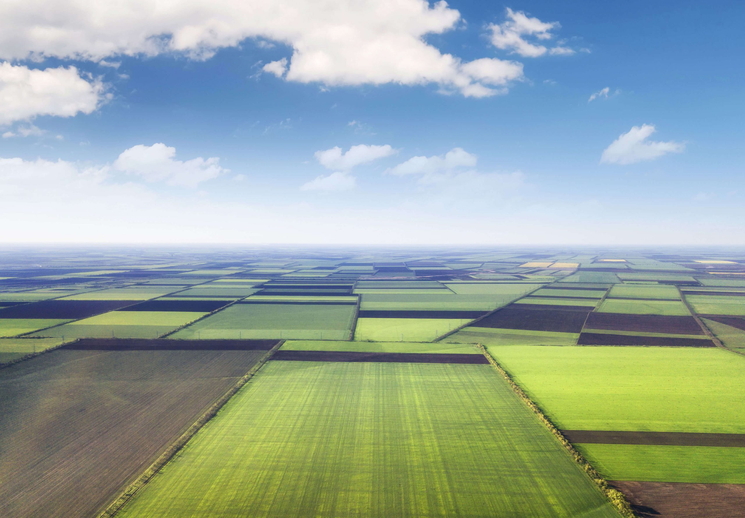 A view of an open field from above.